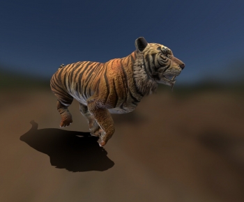 Modern Animal-ID:271038069