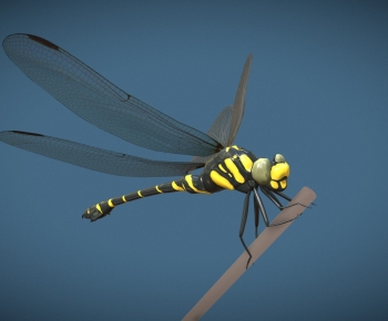 Modern Flying Animals-ID:341029881