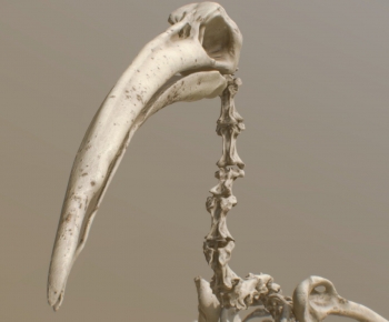 Modern Sculpture-ID:365370044