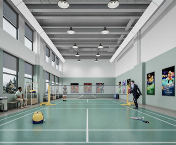 Modern Indoor Badminton Court-ID:435184001