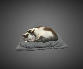 Modern Animal Cat-ID:796926984