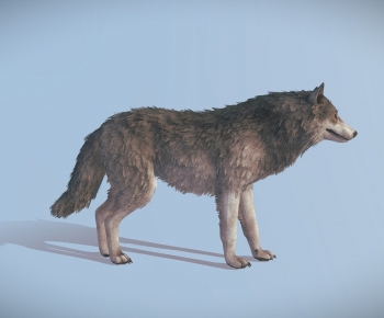 Modern Mammal-ID:247910024