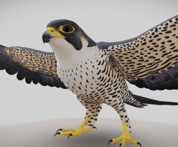 Modern Flying Animals-ID:927254925