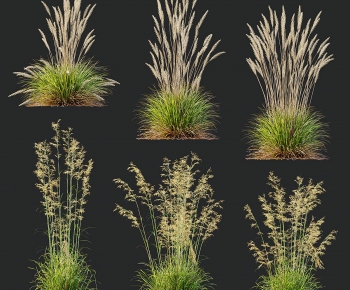 Modern Flowers And Grass-ID:306663041