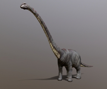 Modern Other Animals-ID:277590833