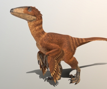 Modern Other Animals-ID:720645904