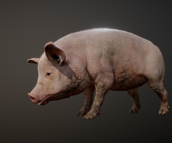 Modern Animal Pig-ID:380476956