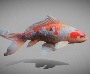 Modern Aquatic Animals-ID:943229912