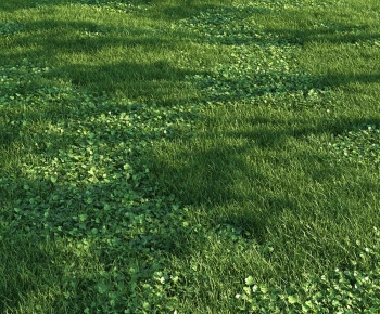 Modern The Grass-ID:119407892