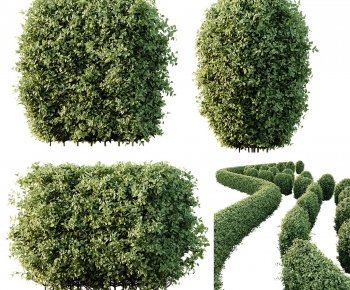 Modern Shrubbery-ID:614082103