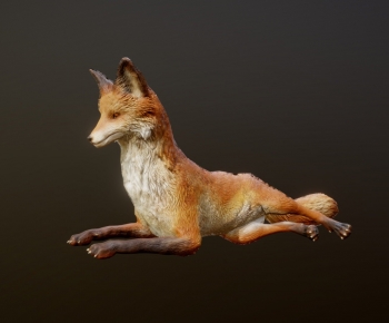 Modern Mammal-ID:477924116