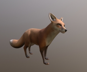 Modern Mammal-ID:209774026