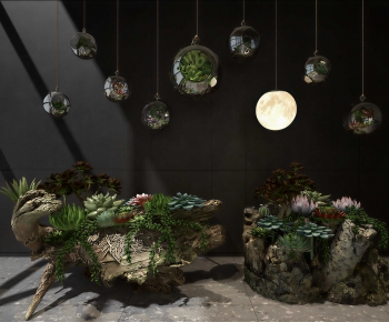 Modern Chlorophytum Comosum-ID:100650852