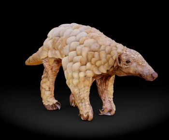 Modern Animal-ID:147677901