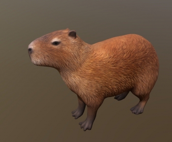 Modern Mammal-ID:466372971