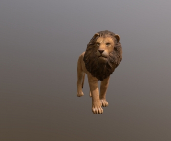 Modern Mammal-ID:373684881