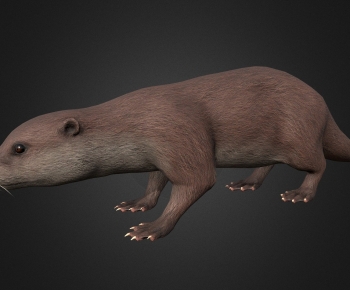 Modern Mammal-ID:409435994
