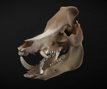 Modern Decorative Set-ID:973310958