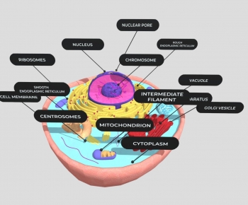 Modern Medical Equipment-ID:253026967