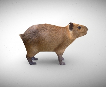 Modern Mammal-ID:220031026