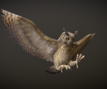 Modern Flying Animals-ID:625237945