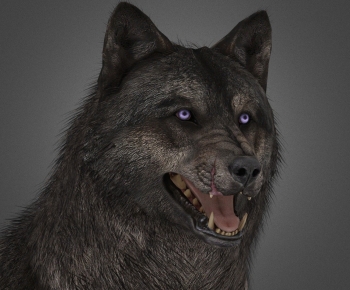 Modern Mammal-ID:177642113