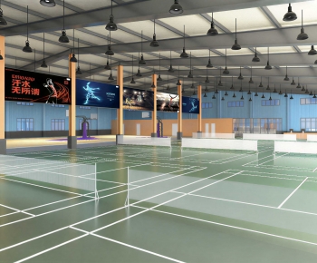 Modern Indoor Badminton Court-ID:738504897