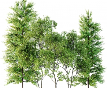 Modern Tree-ID:662132024