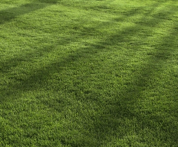 Modern The Grass-ID:767860418