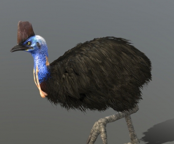 Modern Animal-ID:740854023