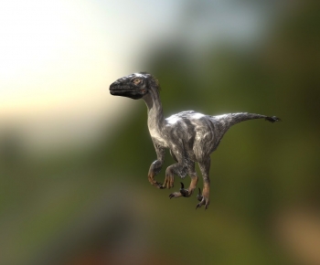 Modern Other Animals-ID:424791102