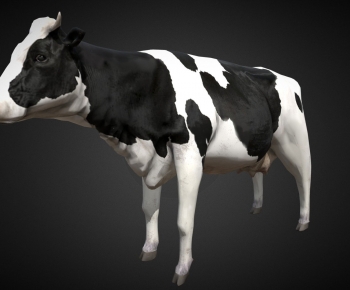 Modern Mammal-ID:619431024