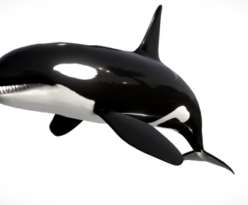 Modern Aquatic Animals-ID:297446978