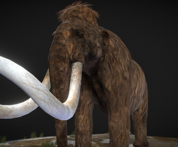 Modern Mammal-ID:614927056