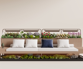 Modern Flower Bed, Flower Bowl, Flower Box-ID:497359993