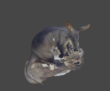 Modern Other Animals-ID:450958013