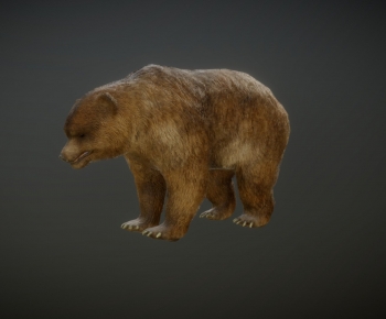 Modern Mammal-ID:601897003