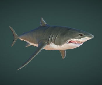 Modern Aquatic Animals-ID:145644901