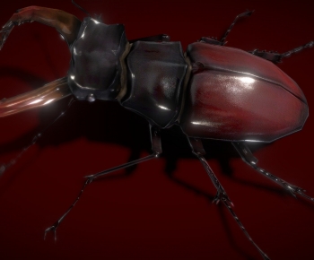 Modern Flying Animals-ID:241748094