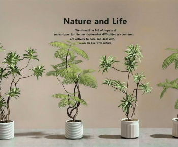 Modern Ground Green Plant Potted Plants-ID:127166996