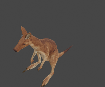 Modern Mammal-ID:801126965