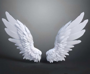 Modern Other-ID:508374932