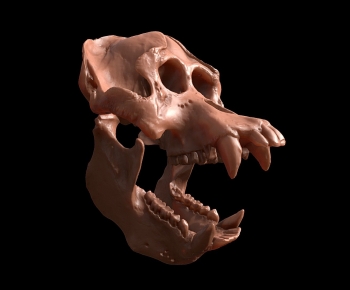 Modern Animal-ID:551945928