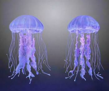 Modern Aquatic Animals-ID:605777032