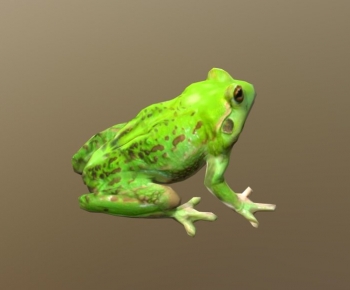 Modern Reptile-ID:228858951