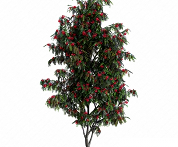 Modern Tree-ID:728849892