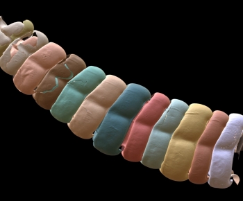 Modern Robot-ID:458590982