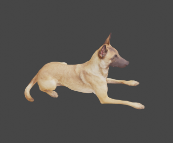 Modern Animal Dog-ID:381419901