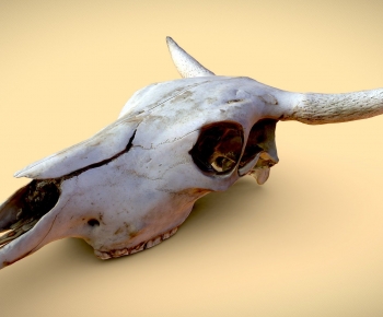 Modern Animal-ID:993149336