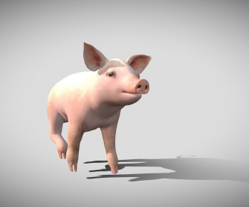 Modern Animal Pig-ID:659363991